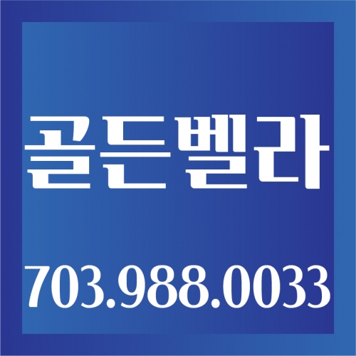 골든벨라