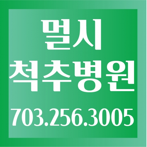 멀시척추신경