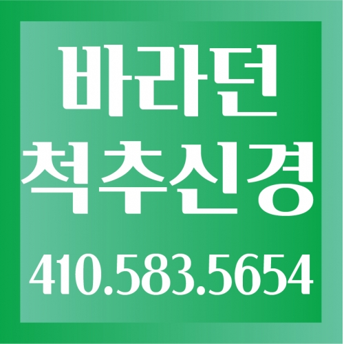 바라던 척추신경