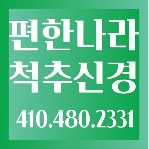 편한나라 척추신경