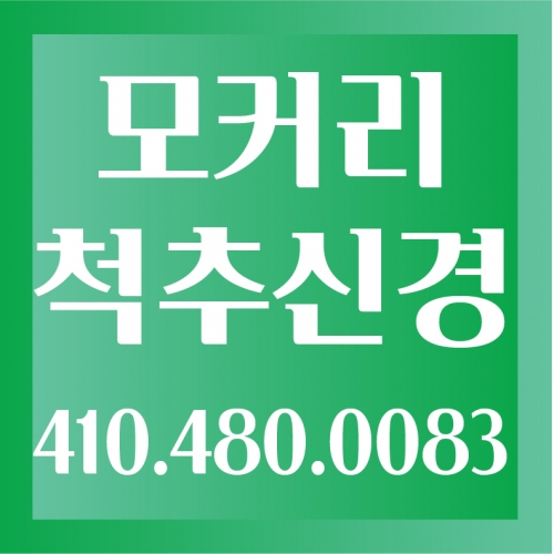 모커리 척추병원