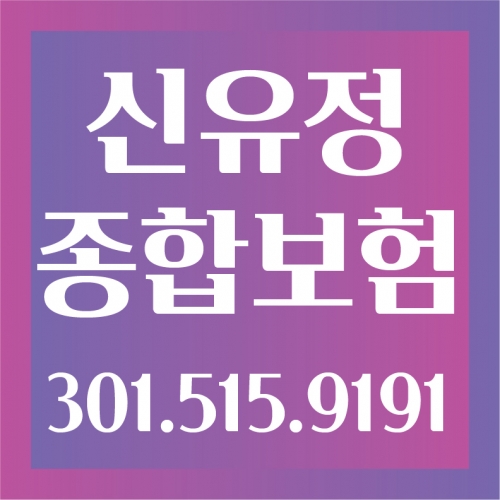 신유정 종합보험
