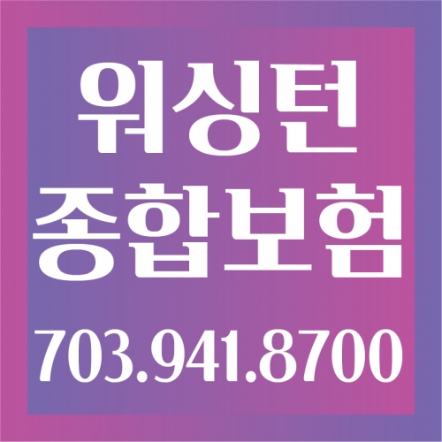워싱턴 종합보험