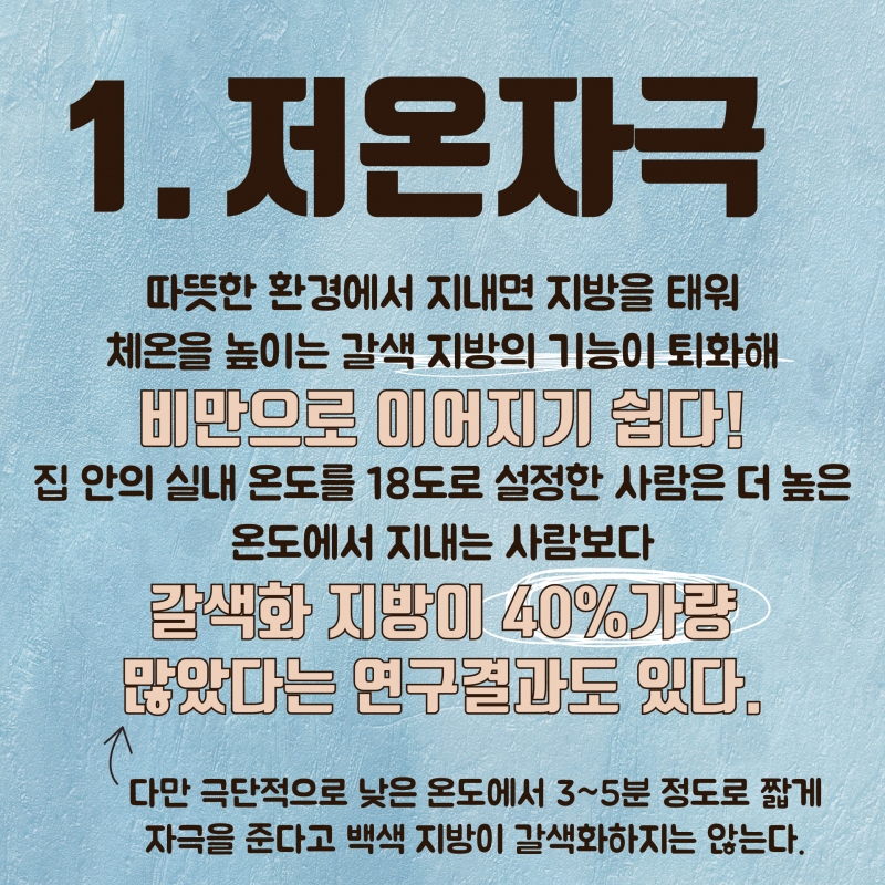 [백색지방vs갈색지방] 우리 몸에 좋은 지방이 있다?