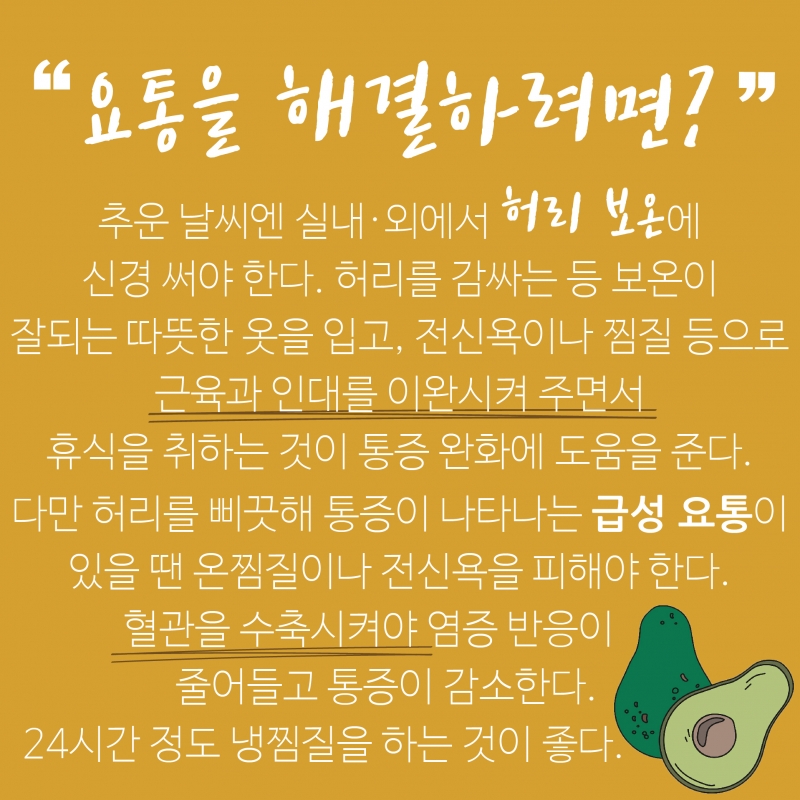 [허리통증 격파-2편] 허리가 아프다? 뱃살과 골다공증 점검해보세요