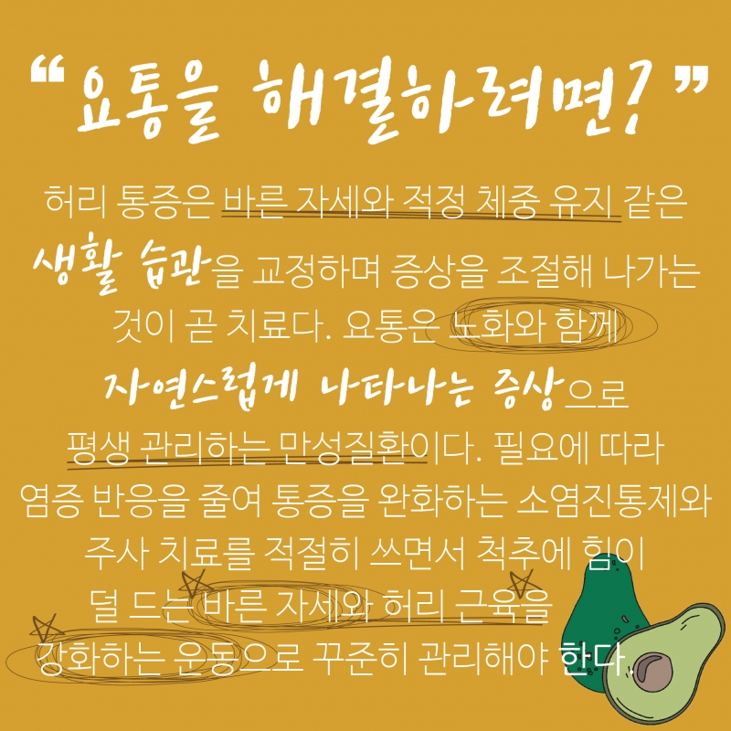 [허리통증 격파-2편] 허리가 아프다? 뱃살과 골다공증 점검해보세요
