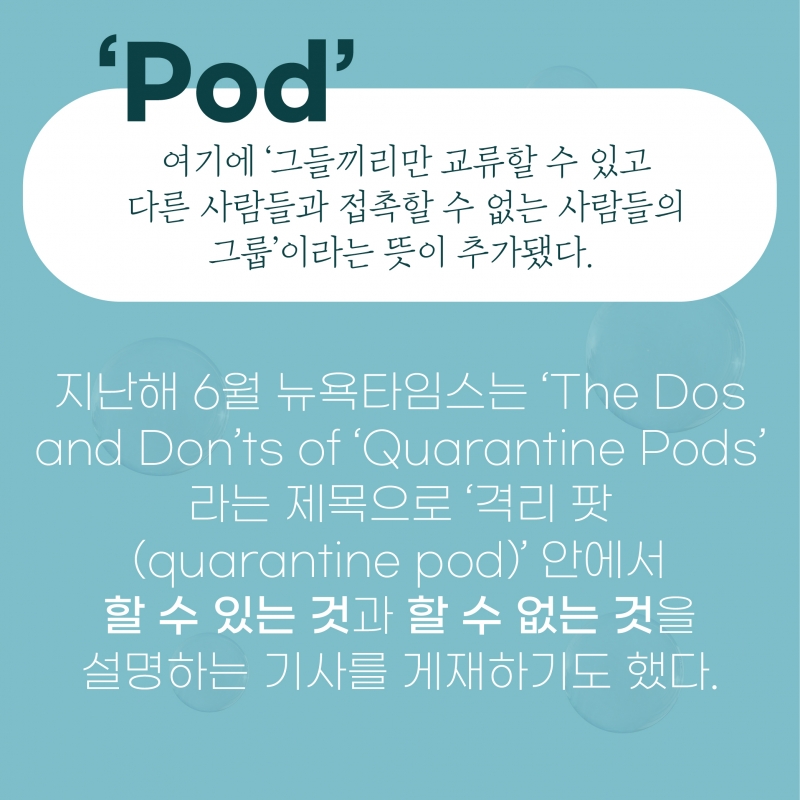 [찐영어] 번역기도 모르는 진짜영어 "Bubble"